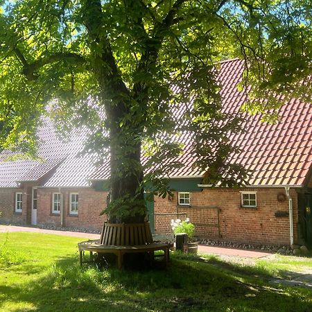Ferienwohnung Mit Garten In Meyenburg - Keine Monteure Schwanewede Esterno foto