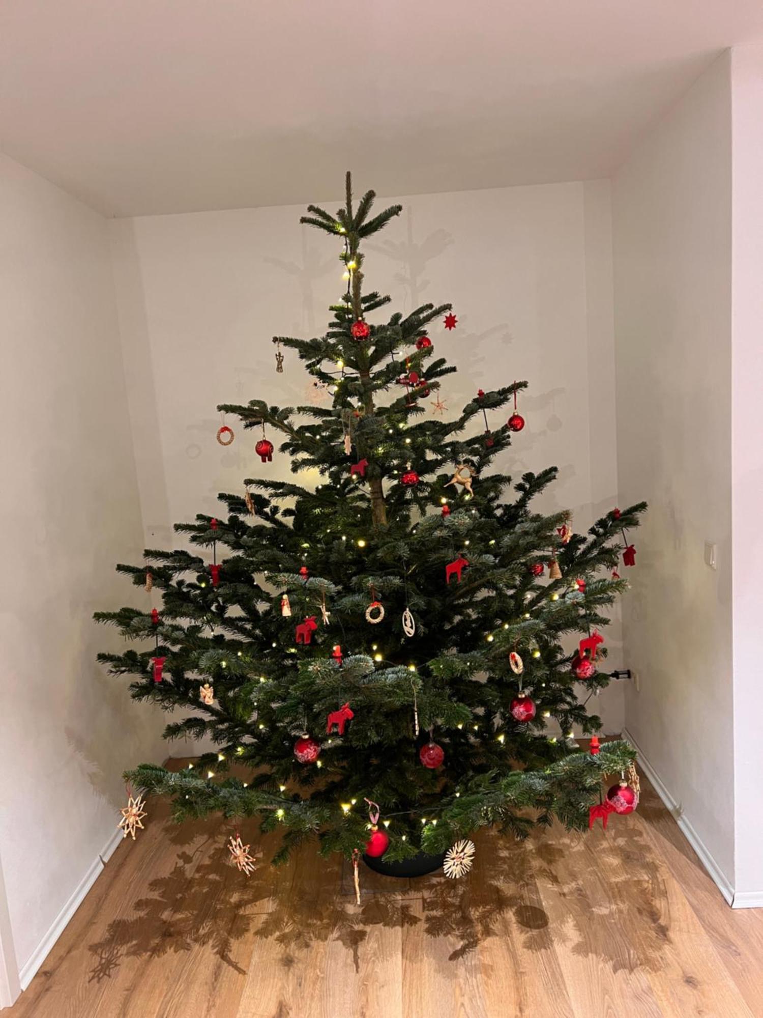 Ferienwohnung Mit Garten In Meyenburg - Keine Monteure Schwanewede Esterno foto